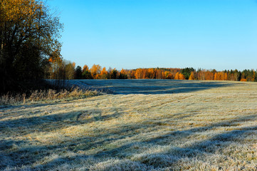 Obraz premium field landscape in autumn in the northwest of Russia