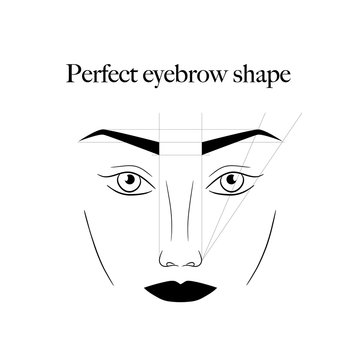 eyebrows scheme