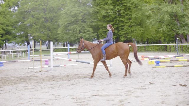 Woman riding quarter horse without a saddle 4K