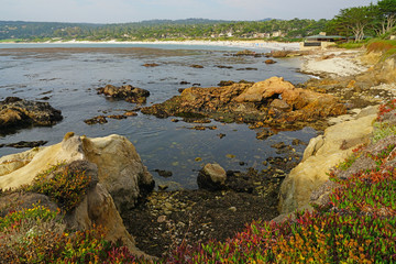 Carmel Beach, a beach on the Pacific Ocean in Carmel-by-the-Sea, California