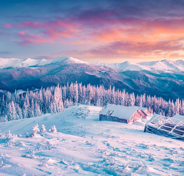 Colorful winter morning in the Carpathian mountains