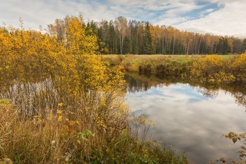 Bright autumn water landscape 