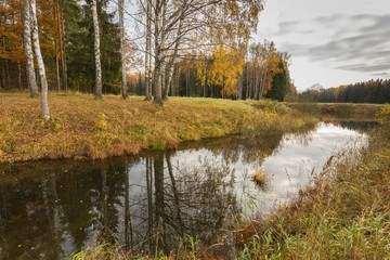 Bright autumn water landscape 