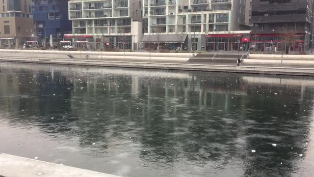 La darse de Lyon-Confluence