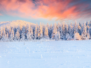 Panorama of the winter sunrise in the mountains