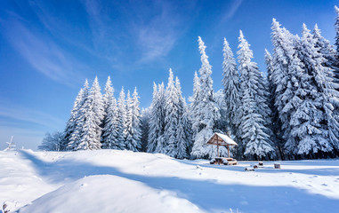 Beautiful winter morning after heavy snowfall in the mountain forest.