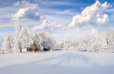 Picturesque winter landscape in the Carpathian village.