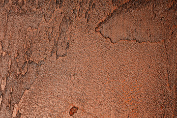 Brown wall texture