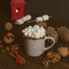 Christmas drink. Hot chocolate, marshmallow, cinnamon sticks and fir cones. Christmas, winter concept. Close up