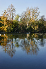 Fototapeta na wymiar autumn reflection on river