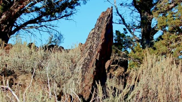 Rock standing on end in desert Kiger Lookout Diamond Steens Mountain Near malheur Wildlife Refuge 4