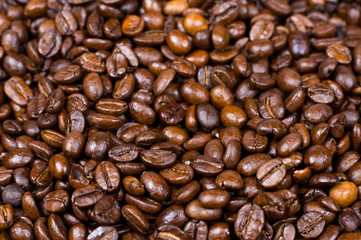 many coffee beans background