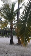 Beautiful and unique landscape of Dominican Republic
