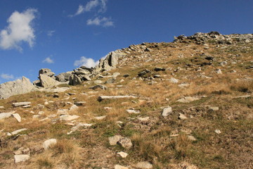 Alpine Landschaft am Monte Berlinghera (Comer See)