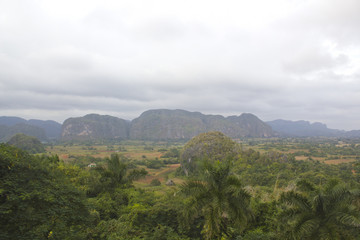 Village at the foot of the mountains in the valley of Vinales in Cuba. Farmers' huts and arable fields. Green palm trees and mogot mountain in the Vinales valley.