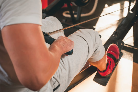 Rowing machine. Gym. - Powered by Adobe