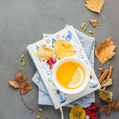 Autumn background with hot lemon tea, yellowed leaves, book, berries, cinnamon, seeds. Perfect sunny autumn. A autumn gray concrete background for you. Copy Space. Place for text. Flat lay, top view