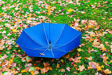 blue umbrella to coloured Lapp