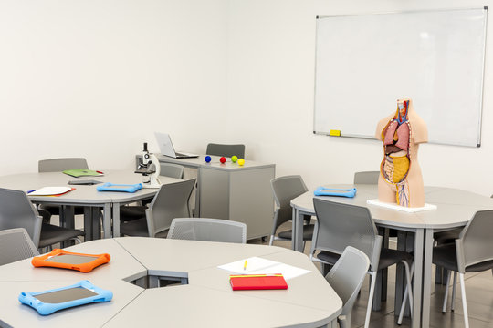 Modern classroom interior, with round tables. Anatomy model and the white board in the background