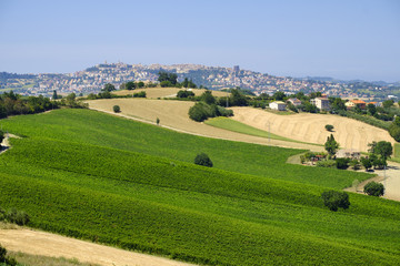 Summer landscape in Marches (Italy) near Montefano