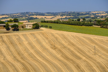 Summer landscape in Marches (Italy) near Ostra