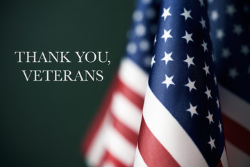 text thank you veterans and american flags - obrazy, fototapety, plakaty