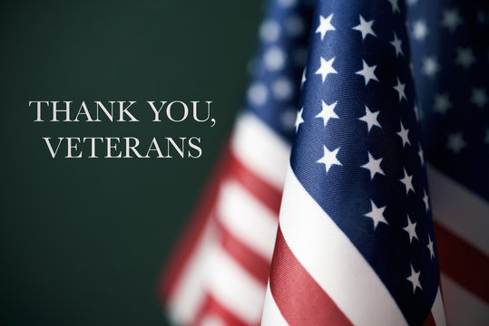 text thank you veterans and american flags