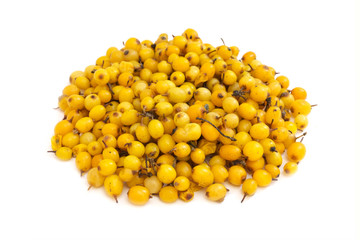 Sea buckthorn
