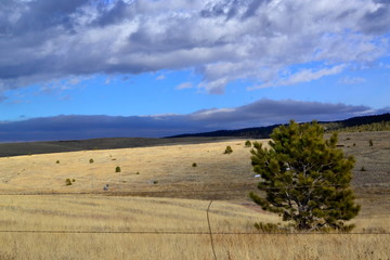 Fototapeta premium Overlooking A High Mountain Grassland With A Blue Sky As A Backdrop