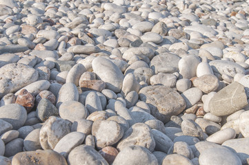 Close view of small and big pebble stone on summer sunny day