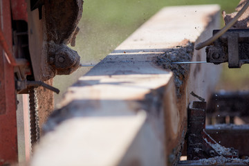 Close up on a saw blade cutting lumber