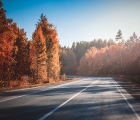 country road. autumn.