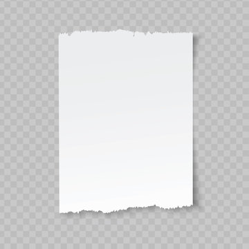 Vector blank sheet of torn paper on transparent background.