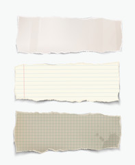 Vector realistic torn pieces of paper.