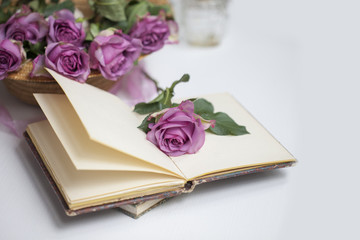 Pink roses and old books