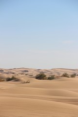 Fototapeta na wymiar wind trace in the sand on desert