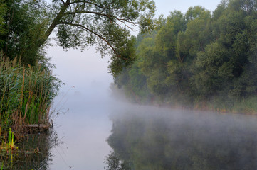 Naklejka na ściany i meble Summer Sunrise on the river against the background of fog and green trees.
