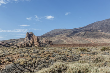 View of a very arid landscape with some vegetation on a sunny day