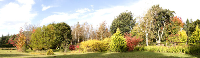 Autumn garden panorama