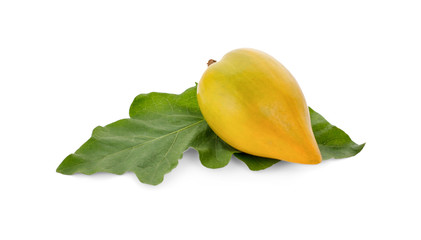 Egg fruit, Canistel, Yellow Sapote (Pouteria campechiana (Kunth) Baehni) on white background