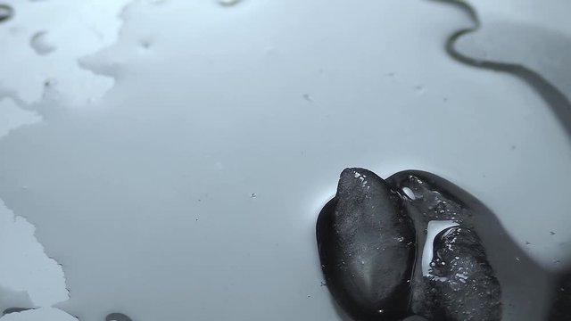 The ice grows similar to the black mountains. Time lapse video of melting ice