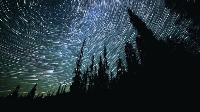 North Star over Forest on Mt. Hood Abstract Star Trails Night Time Lapse