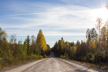 Obraz premium Sunny autumn day