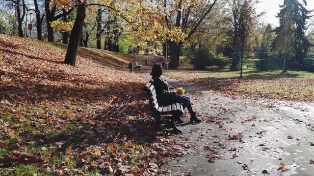 the girl with a bouquet of yellow leaves sits on a bench in the city park