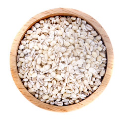 millet grains on white background