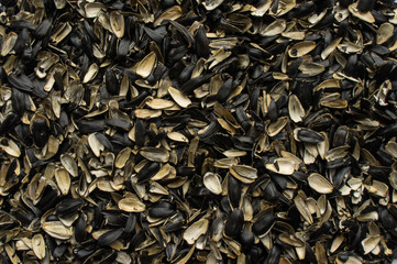 Husks of sunflower seeds.