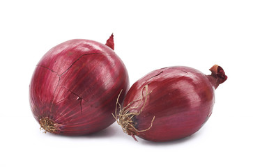 bulbs of onion on a white background