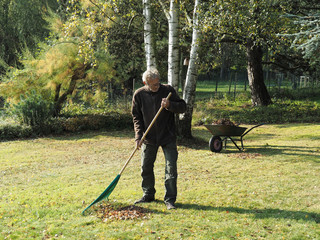 Gartenarbeit im Herbst: Bärtiger Mann beim Laub rechen