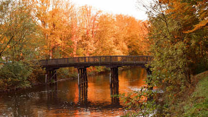 Wooden Bridge
