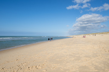 Fototapeta na wymiar LEGE - CAP FERRET (Gironde, France), plage du Grand Crohot